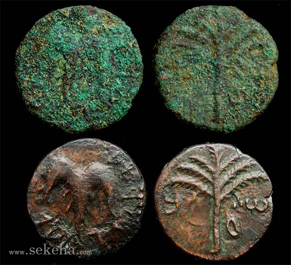 مرمت 300 سکه تاریخی در یزد
