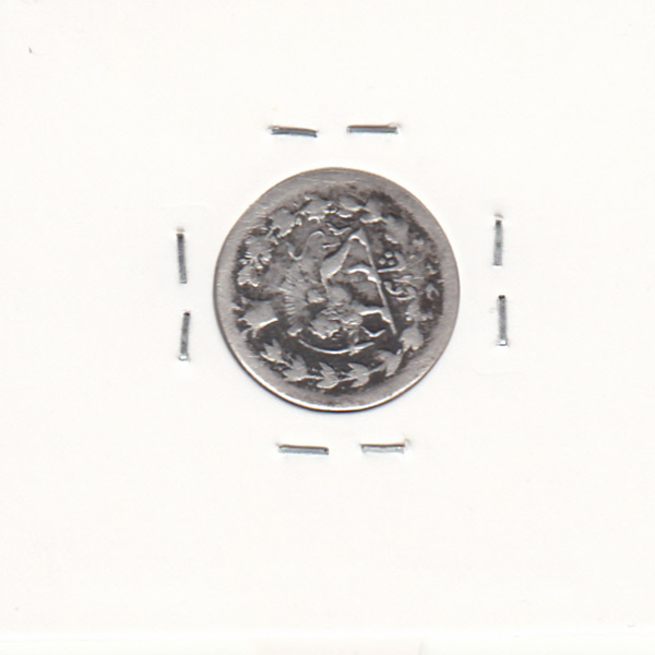 سکه شاهی 1313 و 130 دو تاریخ - ناصرالدین شاه