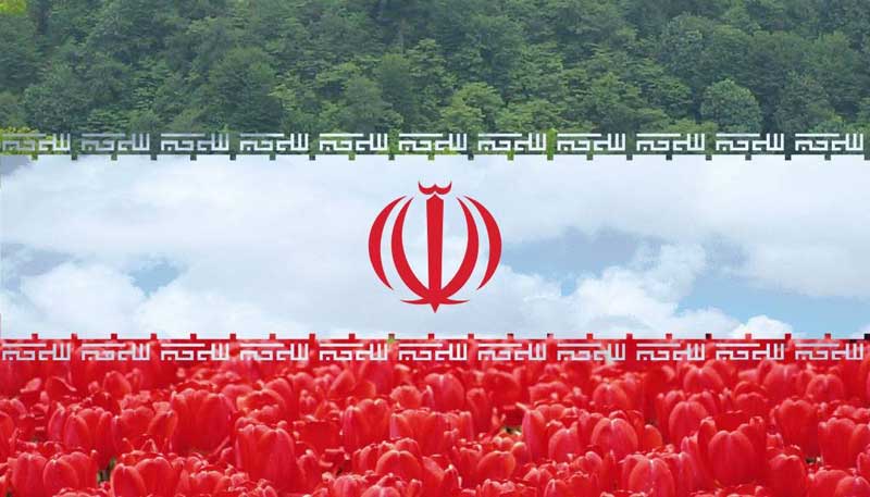 تبریک سکه ها بمناسبت توافق هسته ای