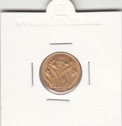 مدال مبارک باد با گل لاله 1337 - طلایی