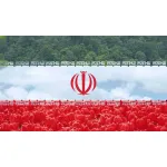 تبریک سکه ها بمناسبت توافق هسته ای