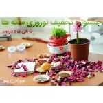 جشنواره نوروزی سکه ها به مناسبت نوروز 1396