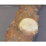 کشف سکه 400 ساله در عمق رودخانه مسکو