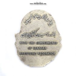 مدال پاسداشت همکاری با فدراسیون کشتی