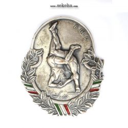 مدال پاسداشت همکاری با فدراسیون کشتی
