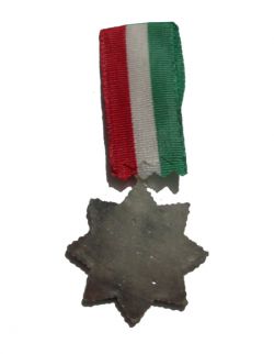 نشان آویزی یادبود کنگره لاینز