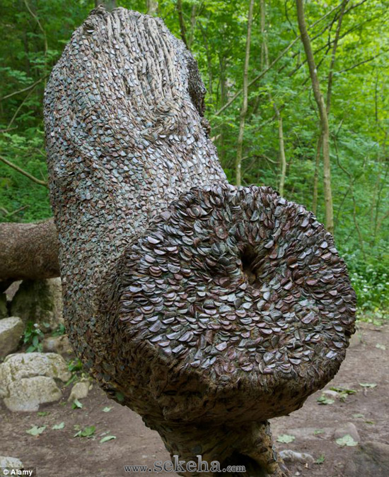 درخت آرزوها - سکه ها 3 درخت آرزوها - سکه ها 3