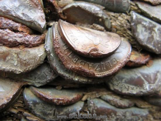 درخت آرزوها - سکه ها 6 درخت آرزوها - سکه ها 6